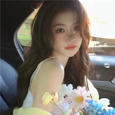 森林进化论第三季